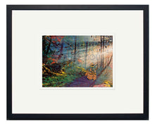 Laden Sie das Bild in den Galerie-Viewer, Kwagu’ Into the Mist - small, medium and large wall art - Artist Heidi Henderson - North of Fifty Indigenous Boutique