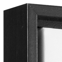 Charger l'image dans la galerie, Hummingbird Feathers Wall Art