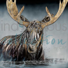 Laden Sie das Bild in den Galerie-Viewer, AMY KELLER REMPP Framed Art Card Collection - North of Fifty Indigenous Boutique