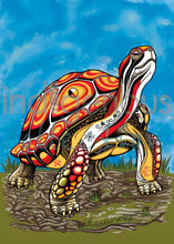 Laden Sie das Bild in den Galerie-Viewer, Stephanie White  Framed Art Card Collection - Choose from a selection of 12 prints - North of Fifty Indigenous Boutique