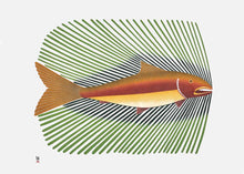 Laden Sie das Bild in den Galerie-Viewer, Summer Char by Native artist Kenojuak Ashevak, North of Fifty 50