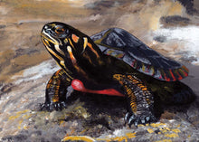 Laden Sie das Bild in den Galerie-Viewer, Turtle Rock by Native artist, Indigenous Art, Richard Shorty, North of Fifty 50