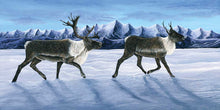 Laden Sie das Bild in den Galerie-Viewer, Journey by Native artist Ronnie Simon, North of Fifty 50