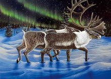 Laden Sie das Bild in den Galerie-Viewer, Side by Side by Native artist Ronnie Simon, North of Fifty 50
