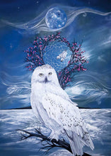 Laden Sie das Bild in den Galerie-Viewer, Midnight Owl Métis artist, Karen Erickson, indigenous art, North of Fifty 50
