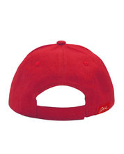Load image into Gallery viewer, Standing Together Embroidered Baseball Cap by Curtis Wilson - North of Fifty Indigenous Boutique
