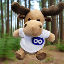 Charger l&#39;image dans la galerie, Mini Moose plush animal with detachable beaded Metis pin
