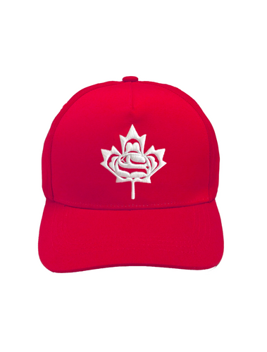 Standing Together Embroidered Baseball Cap by Curtis Wilson - North of Fifty Indigenous Boutique