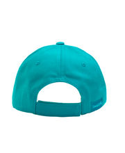 Load image into Gallery viewer, Hummingbird Baseball Cap by Francis Dick - North of Fifty Indigenous Boutique
