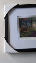 Charger et lire la vidéo dans la visionneuse de la Galerie, Kwagu’ Into the Mist - small, medium and large wall art - Artist Heidi Henderson
