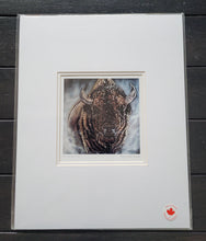 Laden Sie das Bild in den Galerie-Viewer, Set of 3 unframed, matted art cards with artwork by Amy Keller-Rempp - only 1 set available
